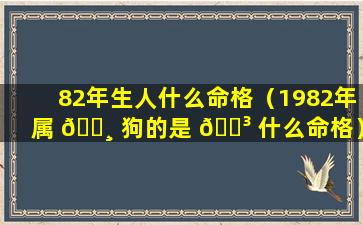 82年生人什么命格（1982年属 🌸 狗的是 🐳 什么命格）